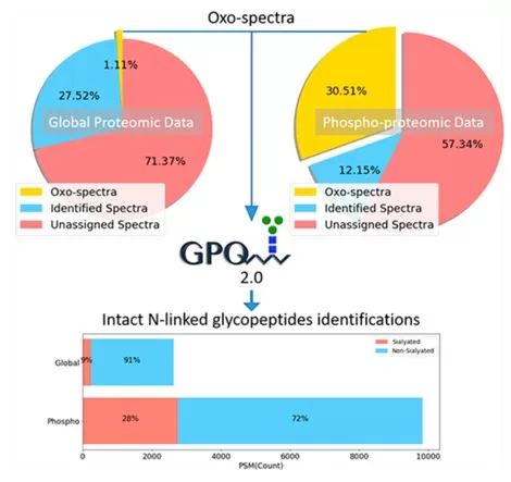 Re-analysis of proteomics data identified glycopeptides